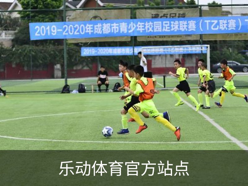 了解乐动体育官方站点